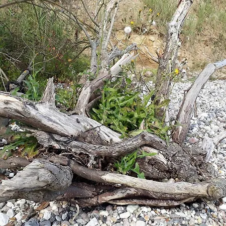 بيت للعطل 6 Person Holiday Home In Haderslev-By Traum *